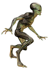 Fototapeta premium 3D Rendering Green Alien on White