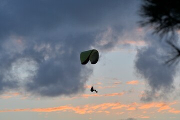 Paragliding at the 