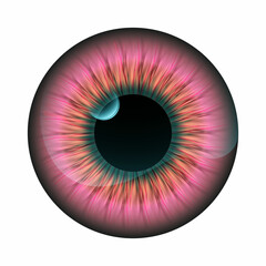 Realistic Colored eye iris pupil isolated. Vector. Pink