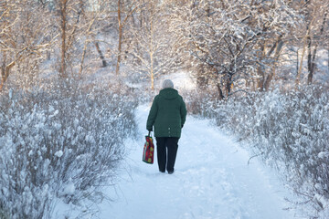 Fototapeta na wymiar Unknown adult woman goes through old winter park alone.