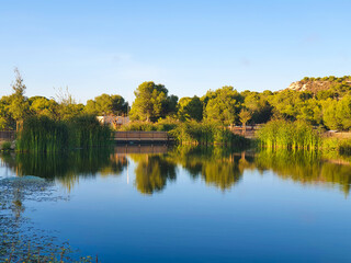 Vega Baja del Segura - Rojales - Lagunas y Parque el Recorral