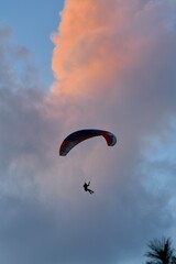 Paragliding at the 