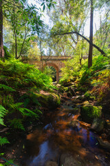Fototapeta na wymiar Lennox Bridge with the surrounding environment, Sydney, Australia.