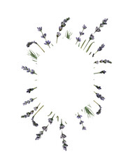 Hand-drawn watercolor lavender frame. Rustic purple, violet flowers border template isolated on white background for wedding invitations and greeting cards