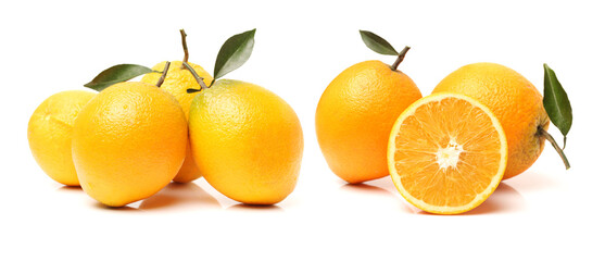 Orange fruit on the white background