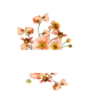 Hand-drawn watercolor floral border with red terracotta dahlia, poppies, yellow buds, greenery. Spring, summer garden flowers frame template isolated on white background for wedding invitations, cards