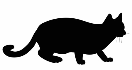 silhouette of a cat black isolated, vector