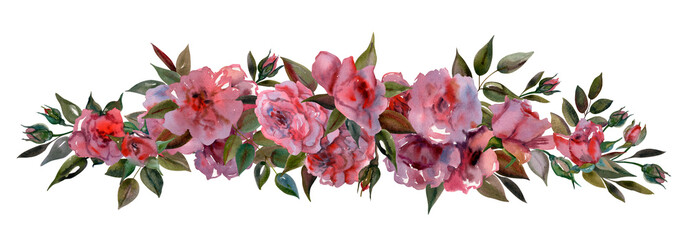 Watercolor panoramic flower arrangement with buds, branches and inflorescences of pink roses isolated on white background. Illustration for clothing, packaging,postcards,posterstableware, stationery.