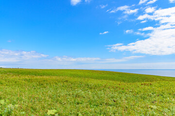 Obraz premium 道東の岬 涙岬 