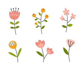 Set of simple doodle flower. Floral collection of design elements. Abstract plants bundle.