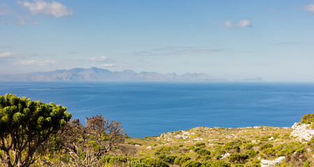 Coastal mountain landscape with fynbos flora in Cape Town