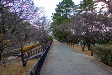 path in the park