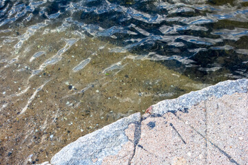 water in the river