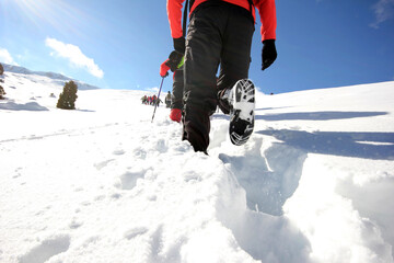 Winter sports. Mountaineering. Group activities.