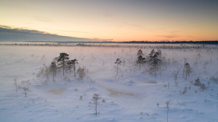 Aerial scenic view to the foggy frosty and snowy bog landscape. Focus on the first tree on the front right