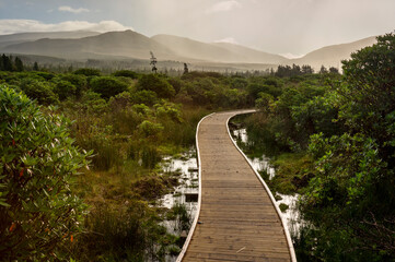 Boardwalk Wild Nephin National Park Ballycroy