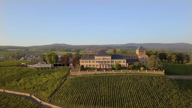 Luftaufnahme mit Drohne im Rheingau bei den Weinbergen von Schloss Johannisberg zwischen Eltville und Rüdesheim am Rhein, Hessen Deutschland	