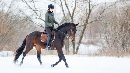 Young woman riding horse in winter park on the snow.