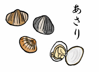 筆絵タッチのあさりイラスト