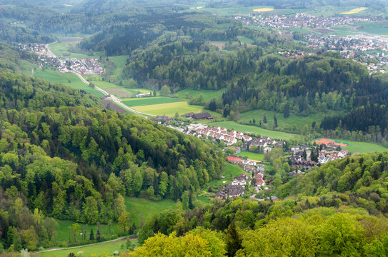 Beautiful lush forest and houses