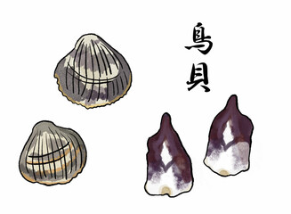 とり貝　イラスト素材