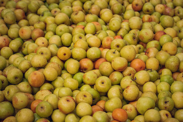 Ripe Bangladeshi Jujube fruits