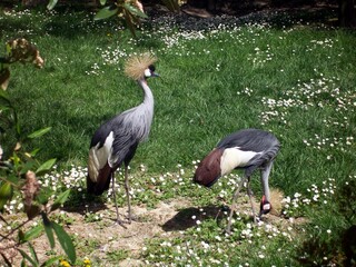 Zoo Punta Verde Lignano Sabbiadoro