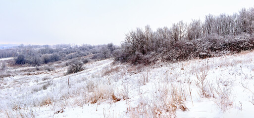 Sunday winter morning in a village in the countryside of Ukraine