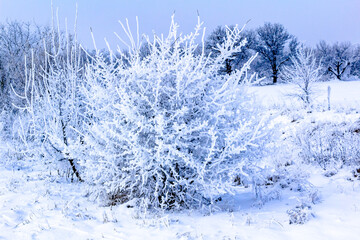 Sunday winter morning in a village in the countryside of Ukraine