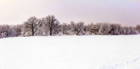 Fototapeta na wymiar Sunday winter morning in a village in the countryside of Ukraine
