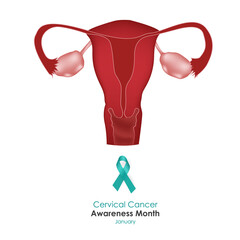 January is a month of cervical cancer awareness. Vector