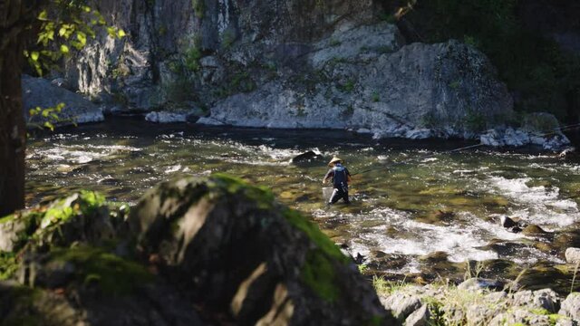 Moss on Rocks and Ayu Fisherman in Yoshida River, Gujo Hachiman, in Gifu Japan