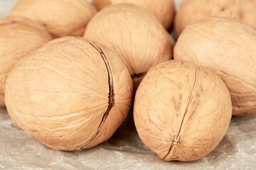 Lots of walnuts photo close-up.