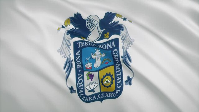 Aguascalientes - Mexican State Waving Flag