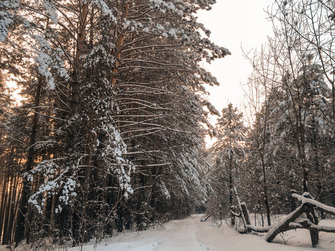 Scenic view after a snowstorm. Winter season. 