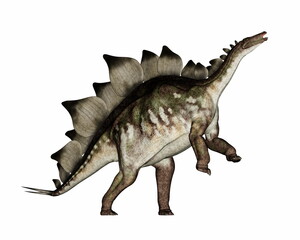 Stegosaurus dinosaur rearing upand roaring - 3D render