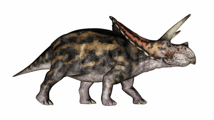 Torosaurus dinosaur walking peacefully straight ahead - 3D render