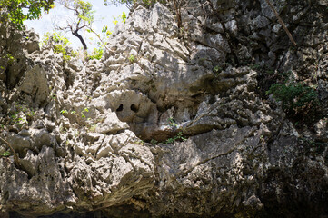rock resembling a pig's nose