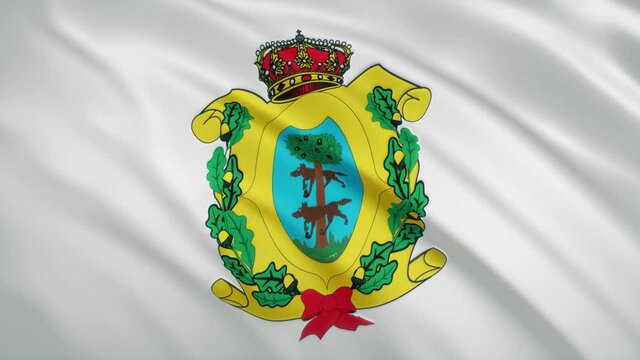 Durango - Mexican State Waving Flag