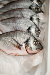 Close-up view on fresh raw fish lying in a row in a white tray