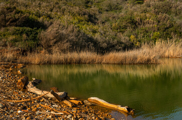 Terranera lake, Elba Island, Italy