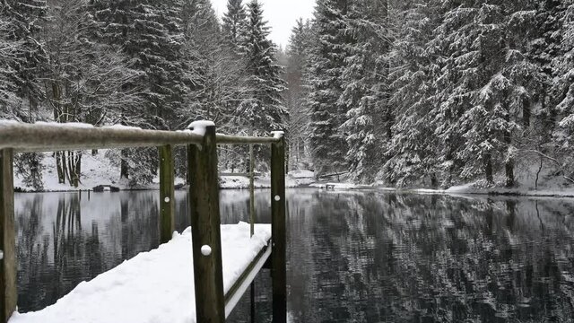Th&uuml;ringer Wald: Pfanntalsteich bei Oberhof im Winter