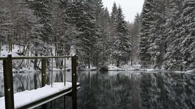 Th&uuml;ringer Wald: Pfanntalsteich bei Oberhof im Winter