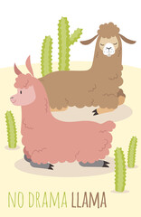 No drama llama card. Relaxing alpaca lying in desert. Cute cactus scene for mood cheering