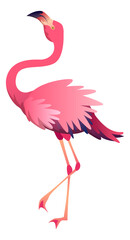 Cute tropical bird. Pink flamingo. Summer symbol