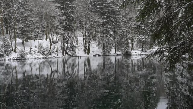 Th&uuml;ringer Wald: Pfanntalsteich bei Oberhof im Winter