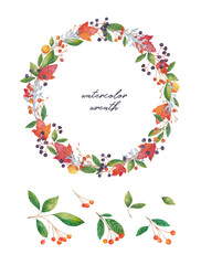 Watercolor wreath. A hand-drawn set of natural wild plants and berries. Elderberry, autumn leaves, wild apple tree, cineraria. A set of stickers with natural prints.