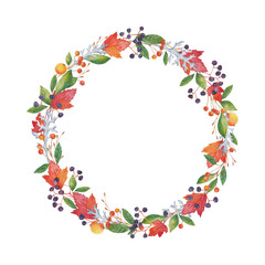 Watercolor wreath. A hand-drawn set of natural wild plants and berries. Elderberry, autumn leaves, wild apple tree, cineraria. 