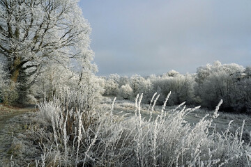 Winterlandschaft - frostiger Morgen