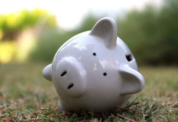 White piggy fall on grass background. concept bankrupt in land and real estate